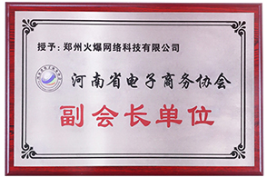 河南省電子商務(wù)協(xié)會副會長單位