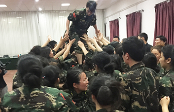 單槍匹馬難跨越，百人抱團筑長城！