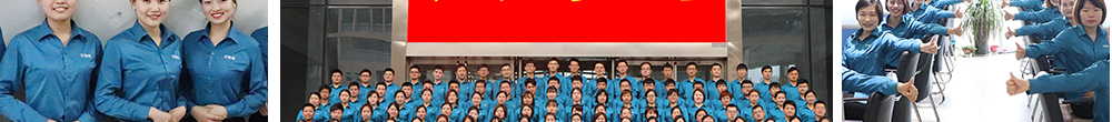 圖說11年