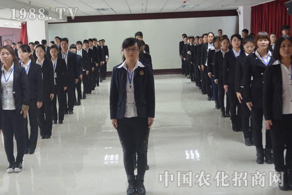 全力以赴