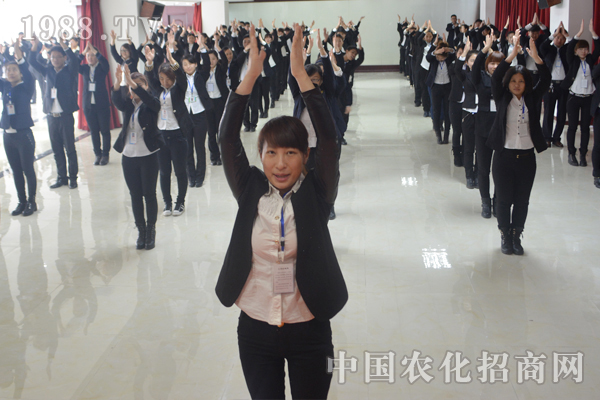 全力以赴