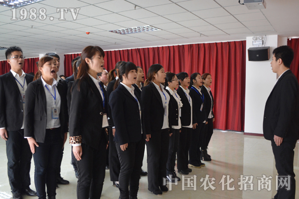 在火爆成長的點(diǎn)點(diǎn)滴滴