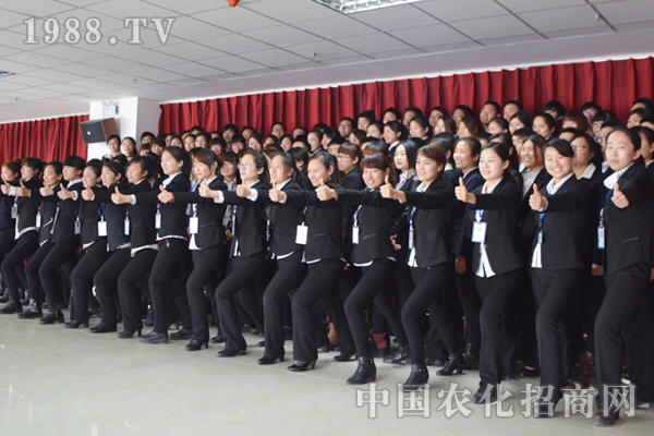 只要全力以赴,夢想就會起航